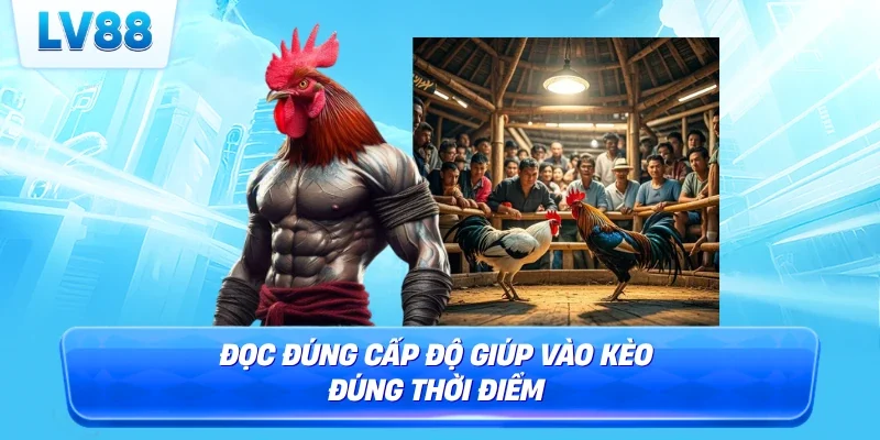 Đọc đúng cấp độ giúp vào kèo đúng thời điểm